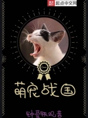 萌宠猫科动物小说